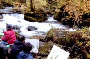 奥入瀬渓流での写生